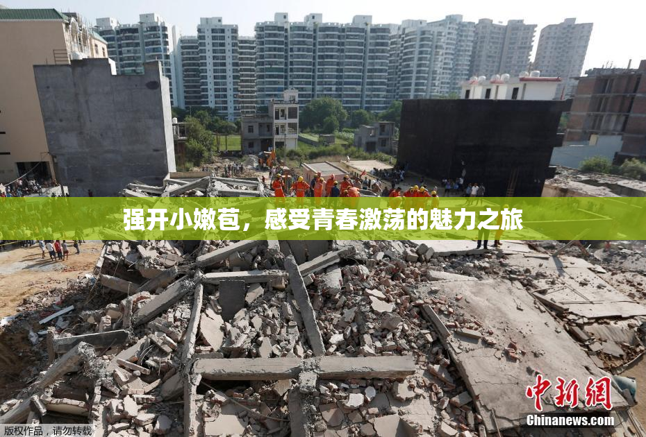 强开小嫩苞，感受青春激荡的魅力之旅