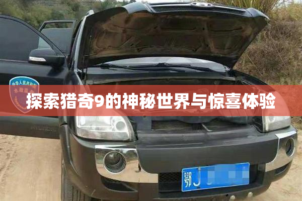 探索猎奇9的神秘世界与惊喜体验