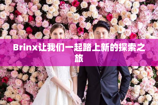 Brinx让我们一起踏上新的探索之旅
