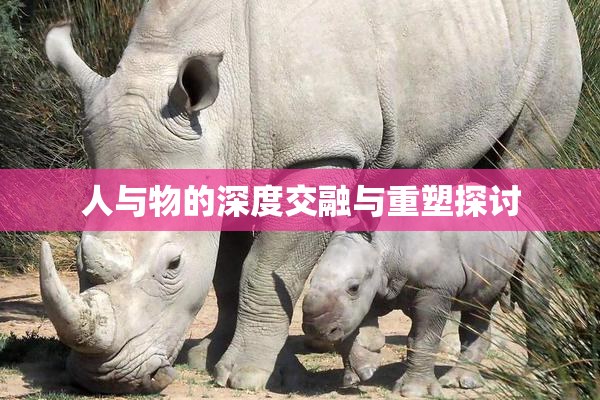 人与物的深度交融与重塑探讨