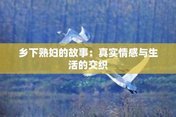 乡下熟妇的故事：真实情感与生活的交织