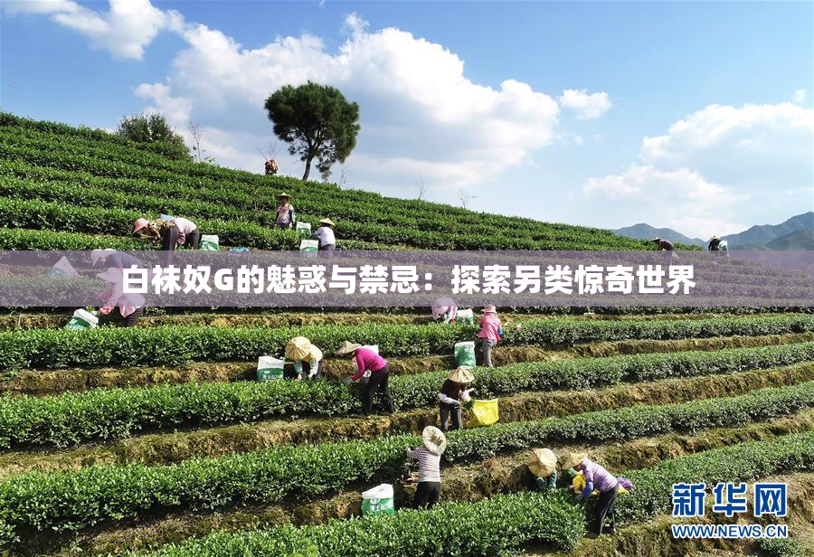 白袜奴G的魅惑与禁忌：探索另类惊奇世界