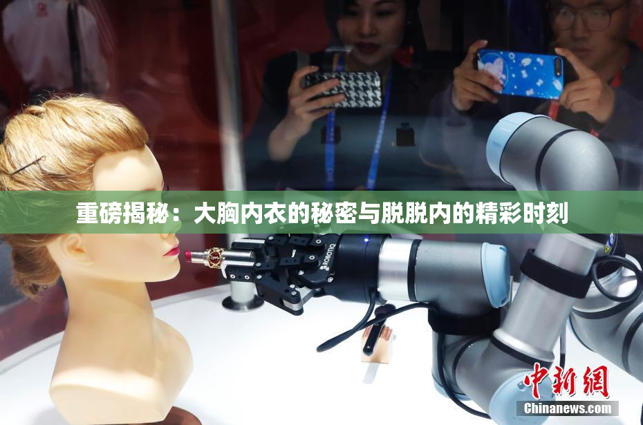 重磅揭秘：大胸内衣的秘密与脱脱内的精彩时刻