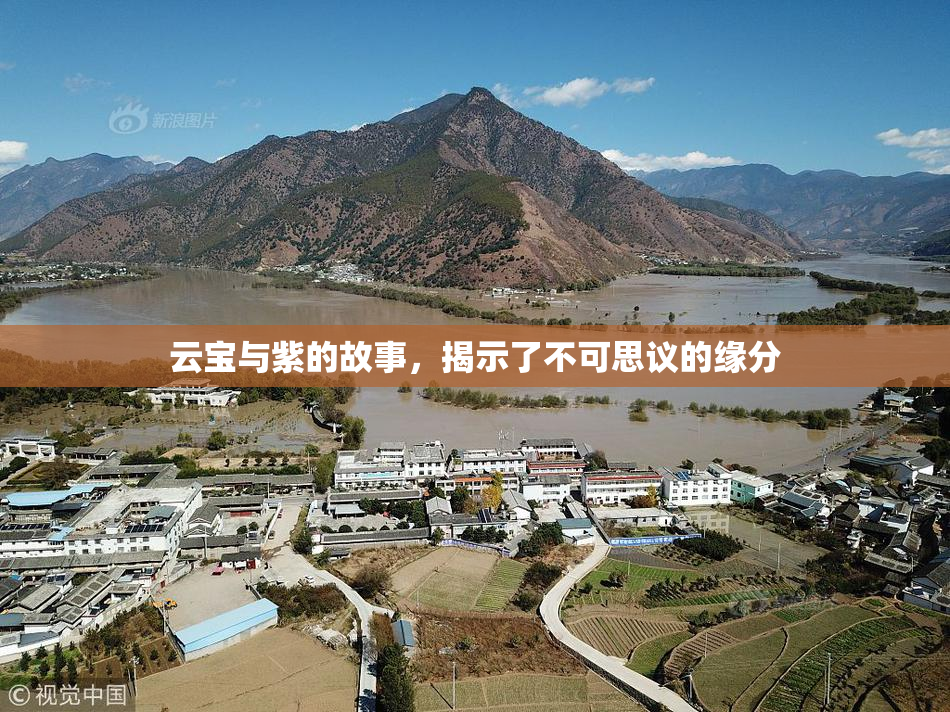 云宝与紫的故事，揭示了不可思议的缘分