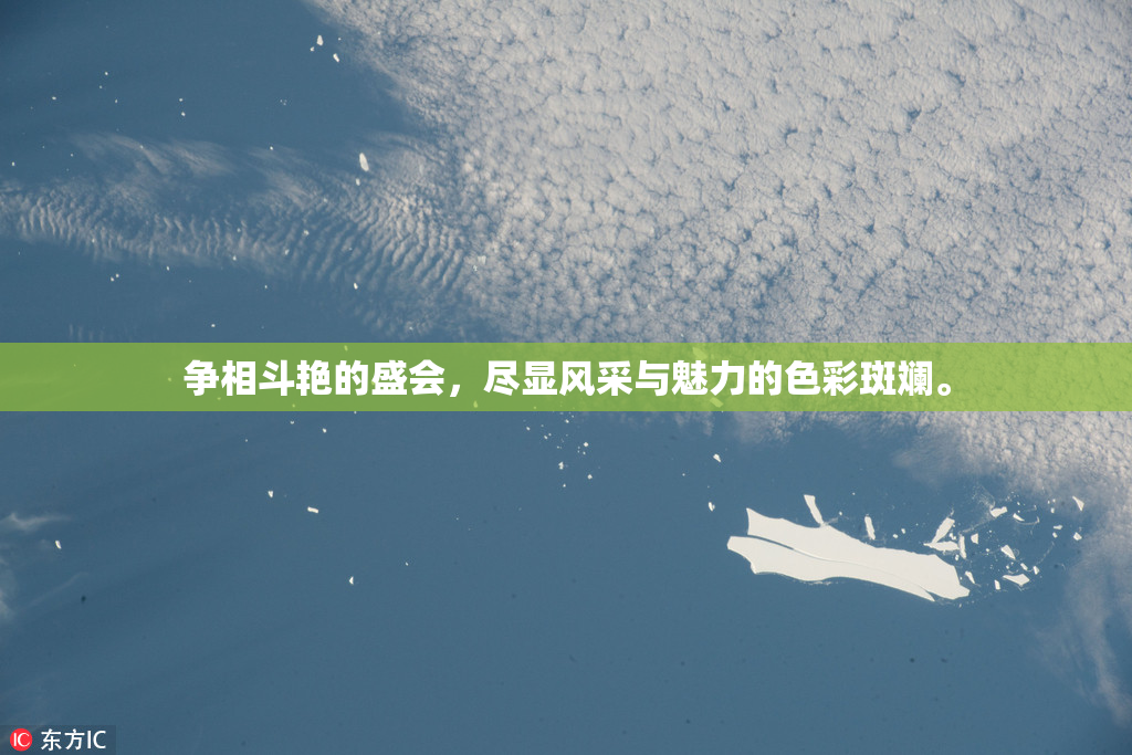 争相斗艳的盛会，尽显风采与魅力的色彩斑斓。