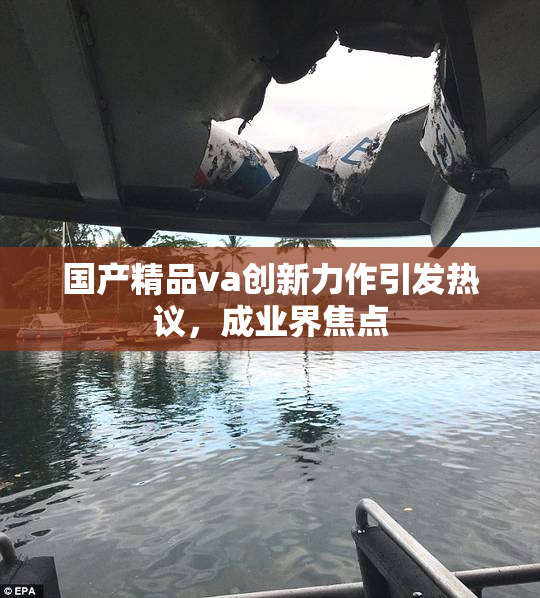 国产精品va创新力作引发热议，成业界焦点