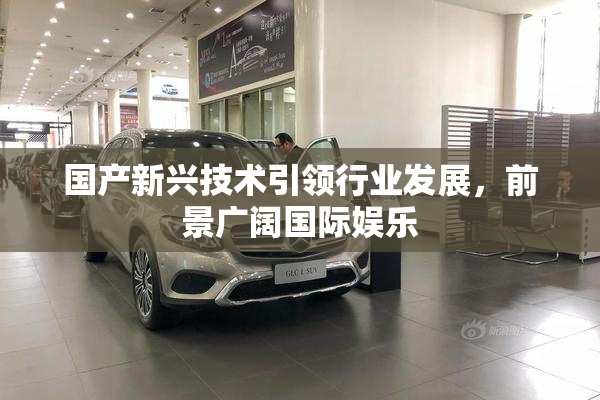 国产新兴技术引领行业发展，前景广阔国际娱乐