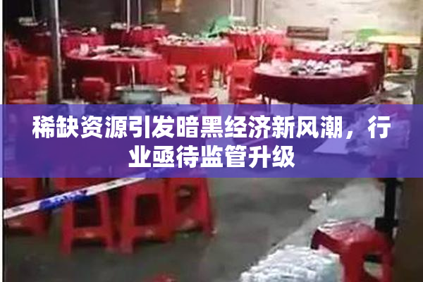 稀缺资源引发暗黑经济新风潮，行业亟待监管升级