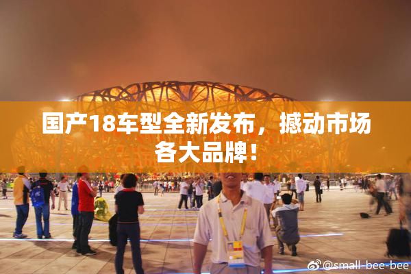 国产18车型全新发布，撼动市场各大品牌！