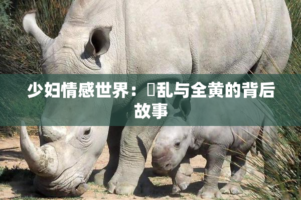 少妇情感世界：婬乱与全黄的背后故事