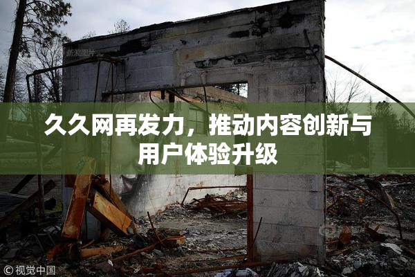 久久网再发力，推动内容创新与用户体验升级