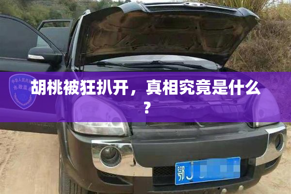 胡桃被狂扒开，真相究竟是什么？
