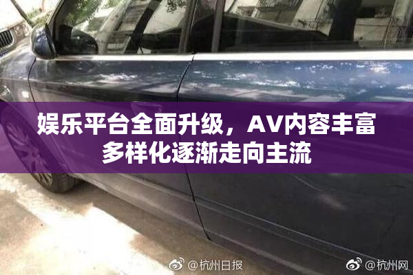 娱乐平台全面升级，AV内容丰富多样化逐渐走向主流