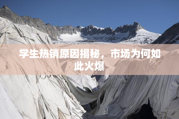 学生热销原因揭秘，市场为何如此火爆