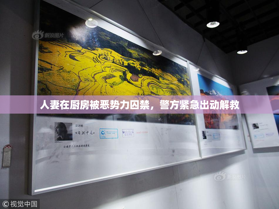 人妻在厨房被恶势力囚禁，警方紧急出动解救