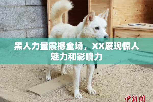 黑人力量震撼全场，XX展现惊人魅力和影响力