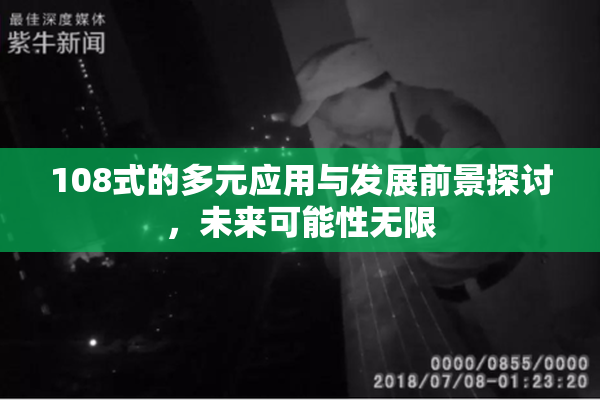 108式的多元应用与发展前景探讨，未来可能性无限