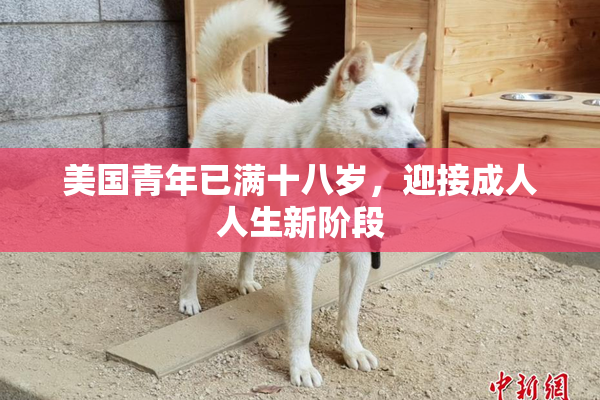 美国青年已满十八岁，迎接成人人生新阶段