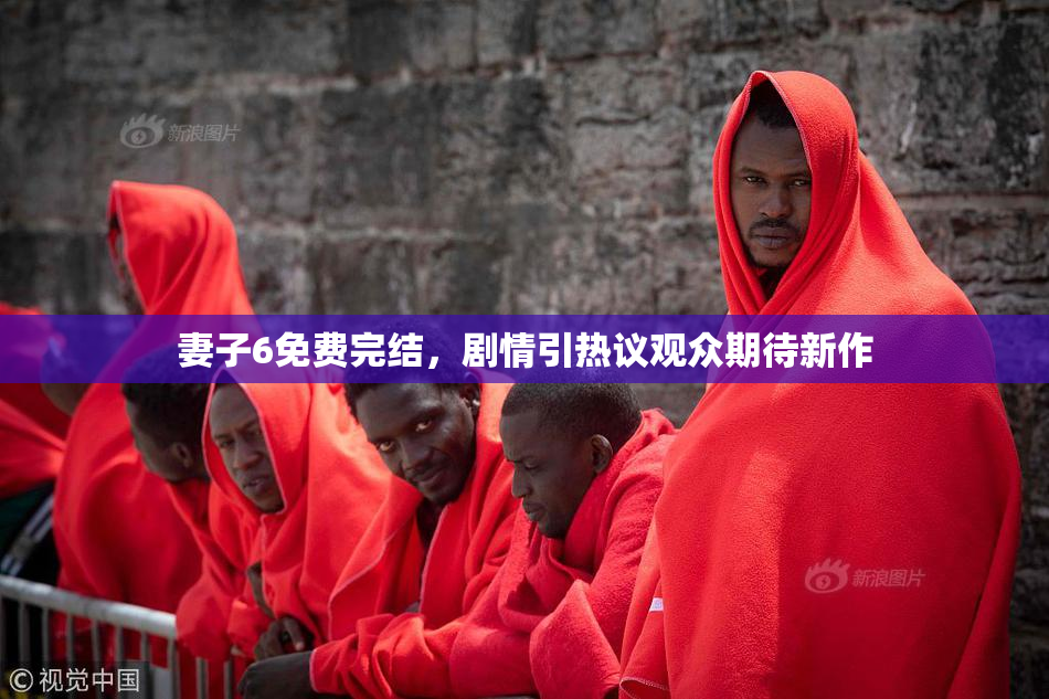 妻子6免费完结，剧情引热议观众期待新作