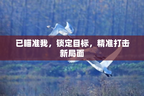 已瞄准我，锁定目标，精准打击新局面