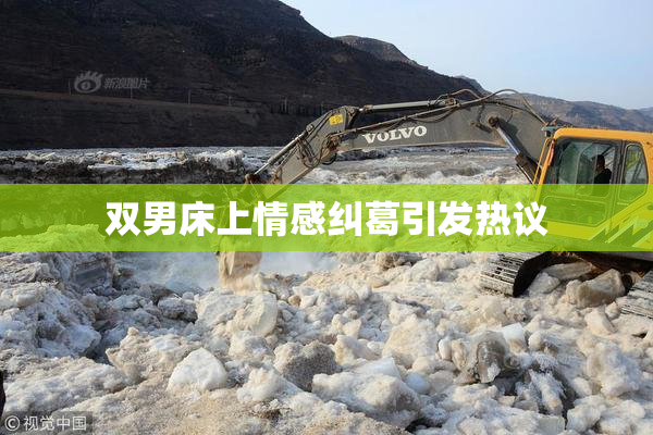 双男床上情感纠葛引发热议