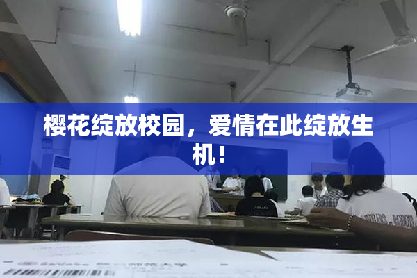 樱花绽放校园，爱情在此绽放生机！