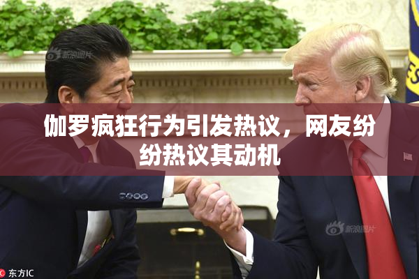 伽罗疯狂行为引发热议，网友纷纷热议其动机