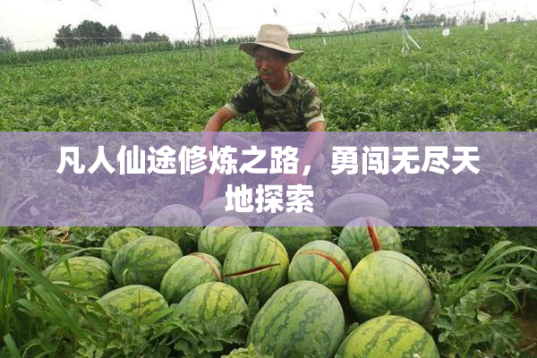凡人仙途修炼之路，勇闯无尽天地探索