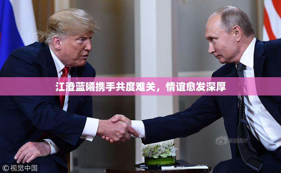 江澄蓝曦携手共度难关，情谊愈发深厚
