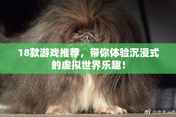 18款游戏推荐，带你体验沉浸式的虚拟世界乐趣！