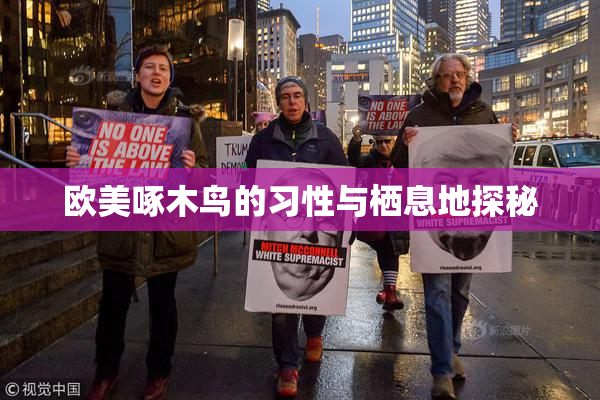 欧美啄木鸟的习性与栖息地探秘