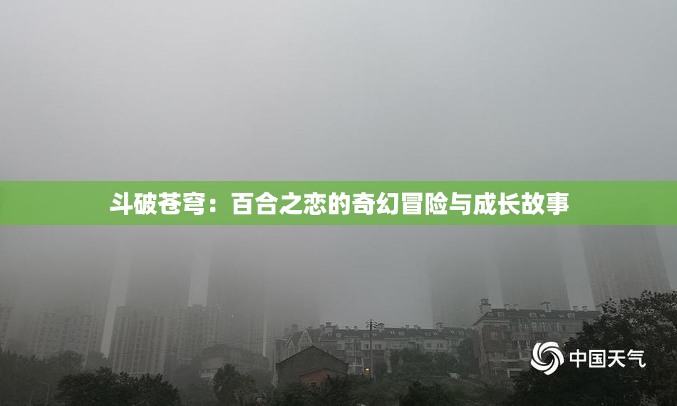 斗破苍穹：百合之恋的奇幻冒险与成长故事