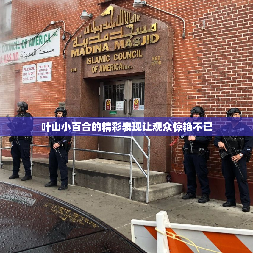 叶山小百合的精彩表现让观众惊艳不已