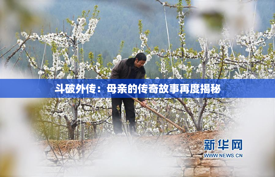 斗破外传：母亲的传奇故事再度揭秘