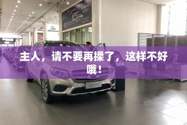 主人，请不要再揉了，这样不好哦！