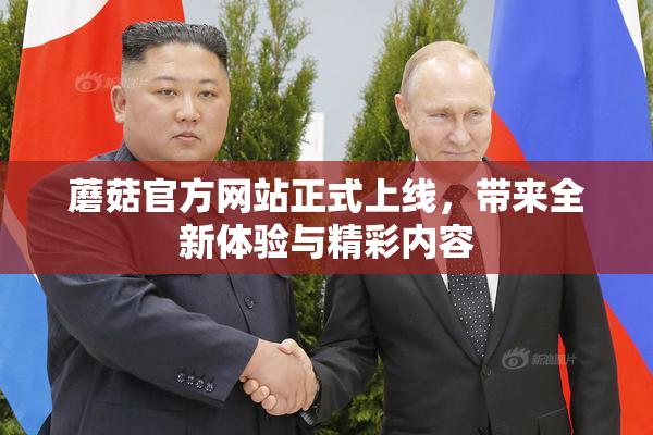 蘑菇官方网站正式上线，带来全新体验与精彩内容