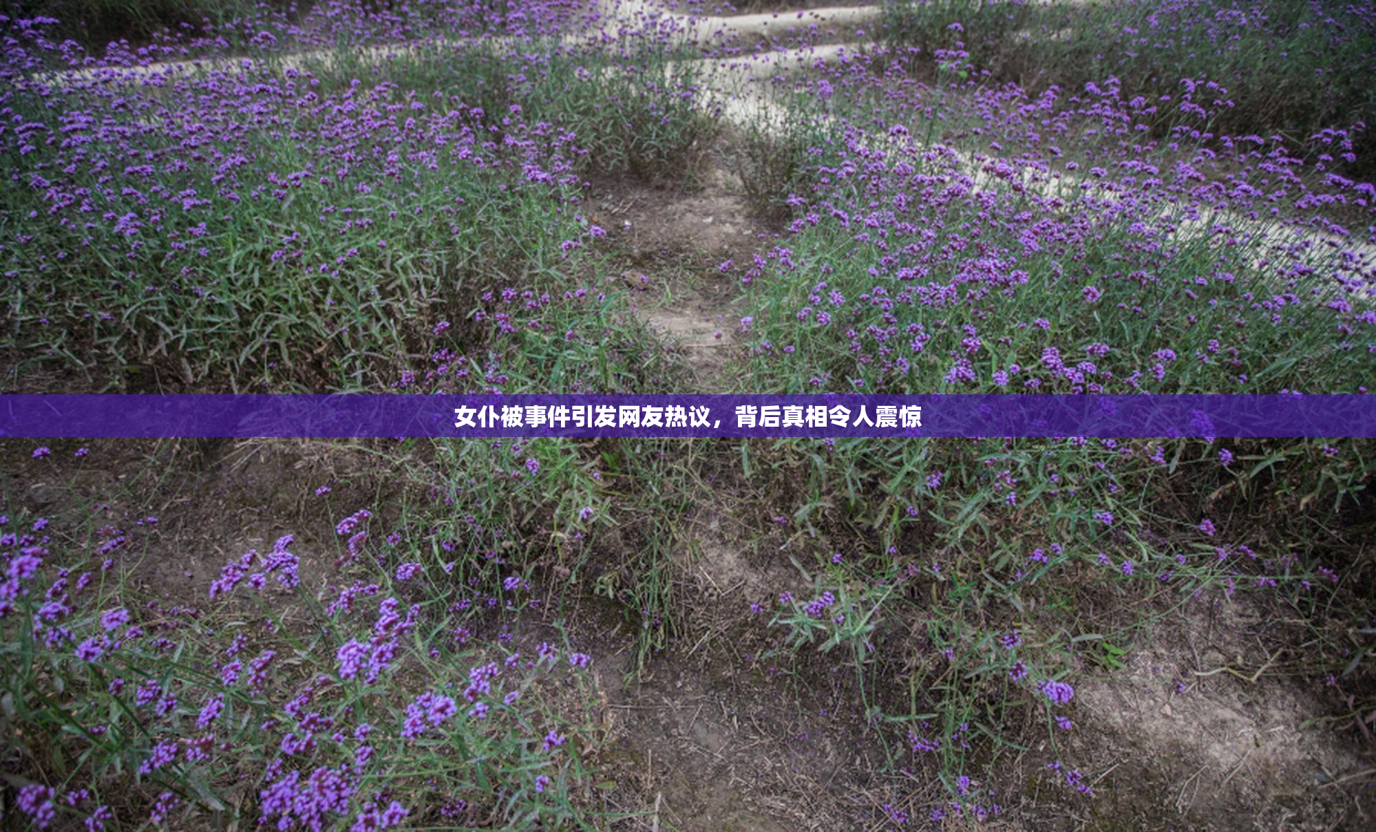 女仆被事件引发网友热议，背后真相令人震惊
