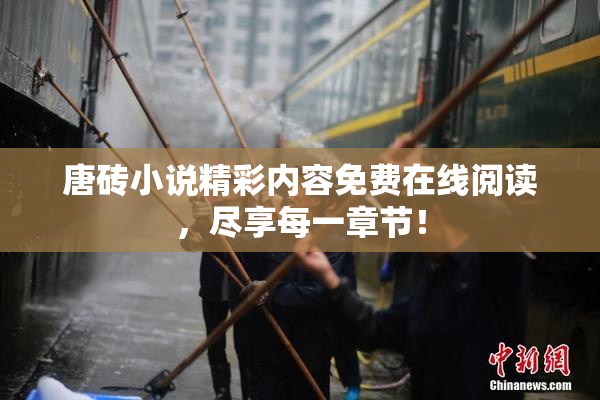唐砖小说精彩内容免费在线阅读，尽享每一章节！