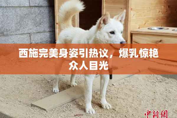 西施完美身姿引热议，爆乳惊艳众人目光
