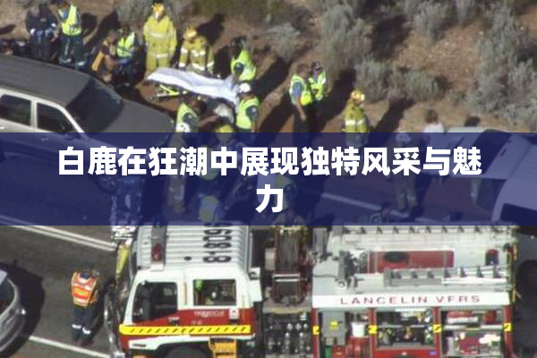 白鹿在狂潮中展现独特风采与魅力