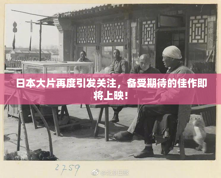 日本大片再度引发关注，备受期待的佳作即将上映！