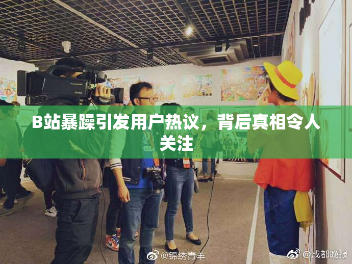 B站暴躁引发用户热议，背后真相令人关注