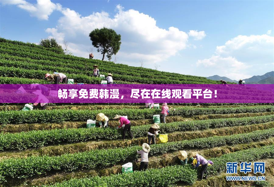 畅享免费韩漫，尽在在线观看平台！