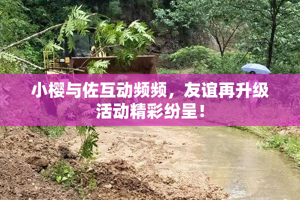 小樱与佐互动频频，友谊再升级活动精彩纷呈！