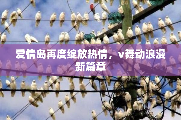 爱情岛再度绽放热情，v舞动浪漫新篇章