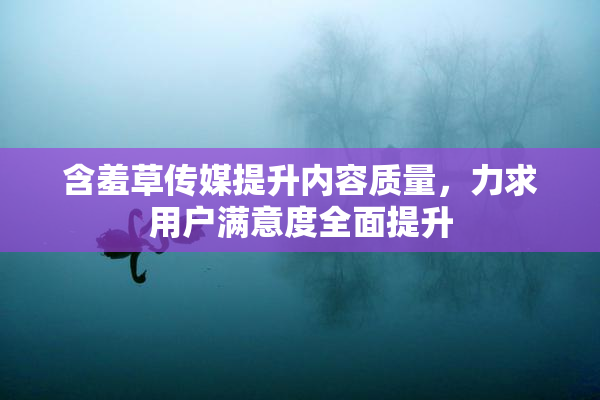 含羞草传媒提升内容质量，力求用户满意度全面提升