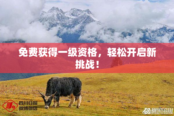 免费获得一级资格，轻松开启新挑战！