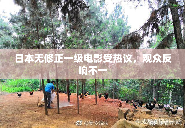 日本无修正一级电影受热议，观众反响不一