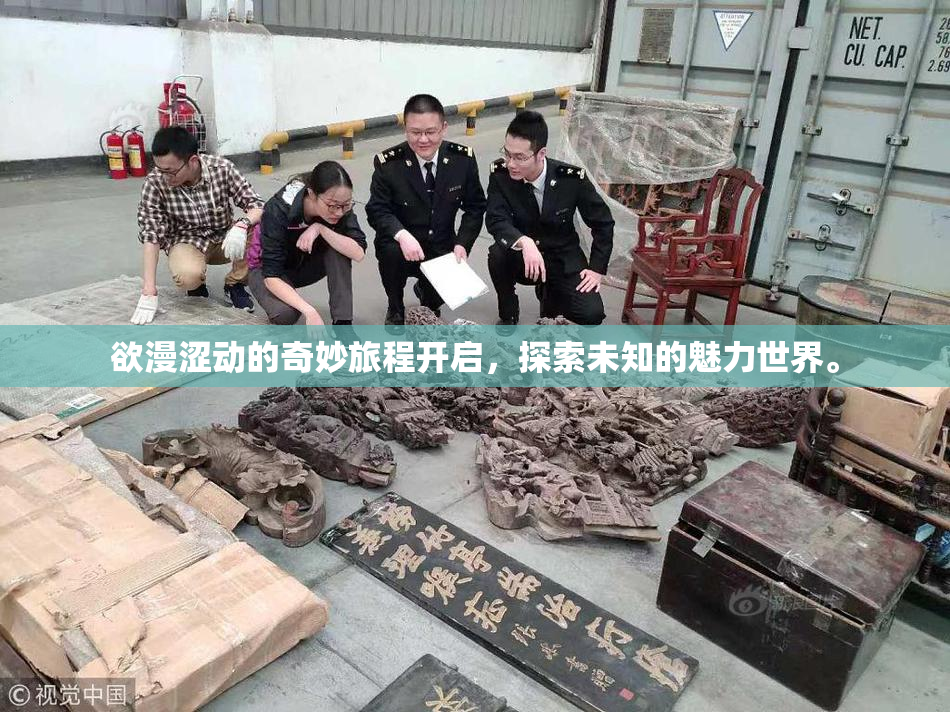 欲漫涩动的奇妙旅程开启，探索未知的魅力世界。