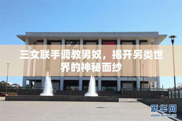 三女联手调教男奴，揭开另类世界的神秘面纱